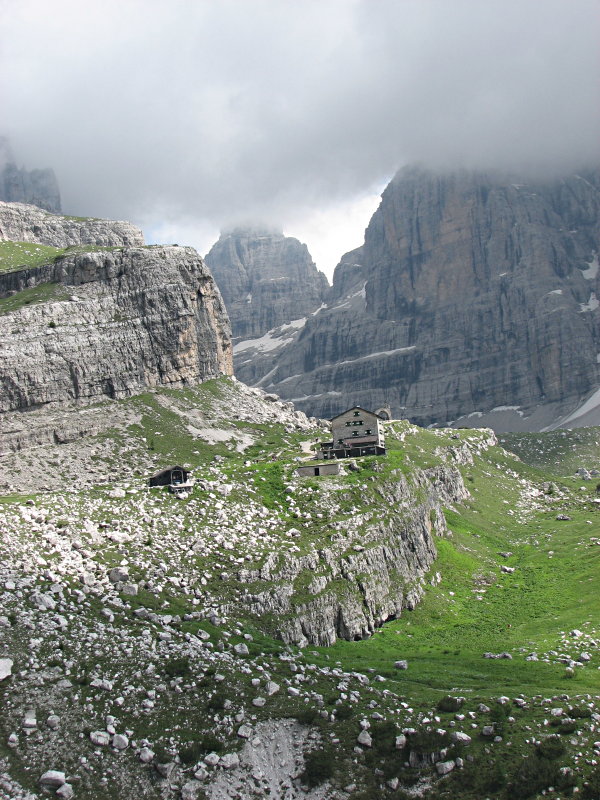 25645-brentei.jpg