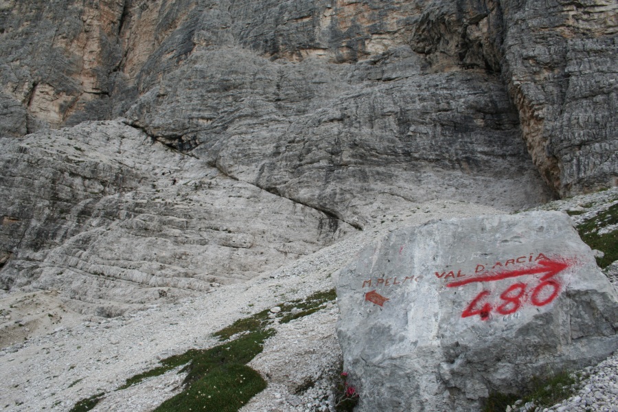 25700-img2885.jpg