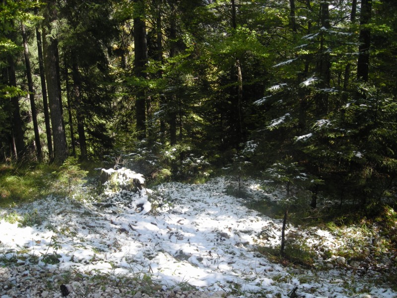 27433-dscn5179-800x600.jpg
