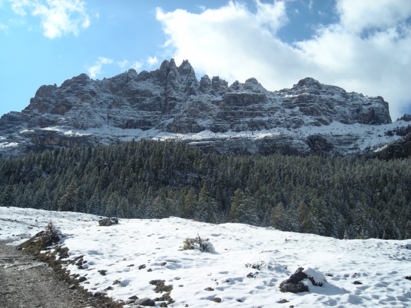27440-dscn5220-800x600.jpg