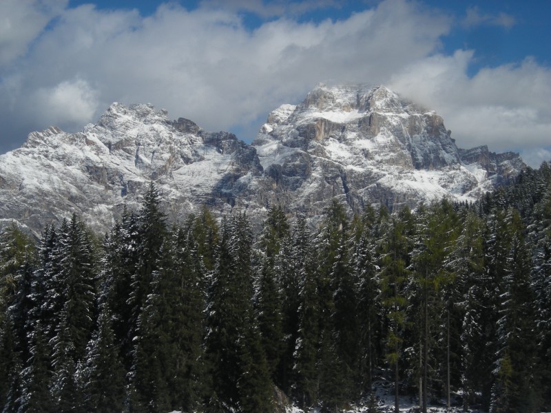 27442-dscn5231-800x600.jpg