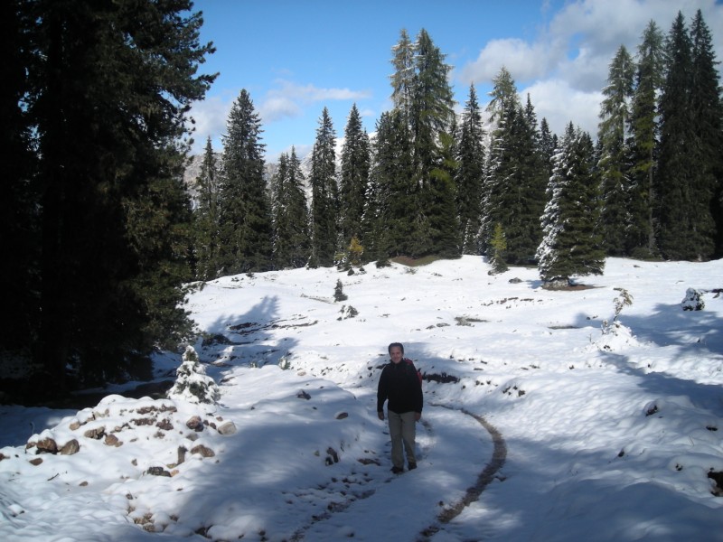 27445-dscn5245-800x600.jpg