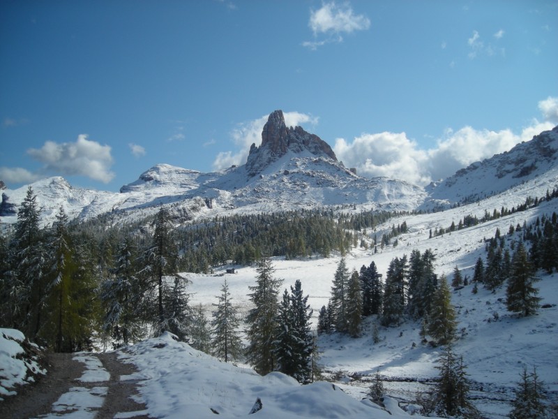 27448-dscn5264-800x600.jpg