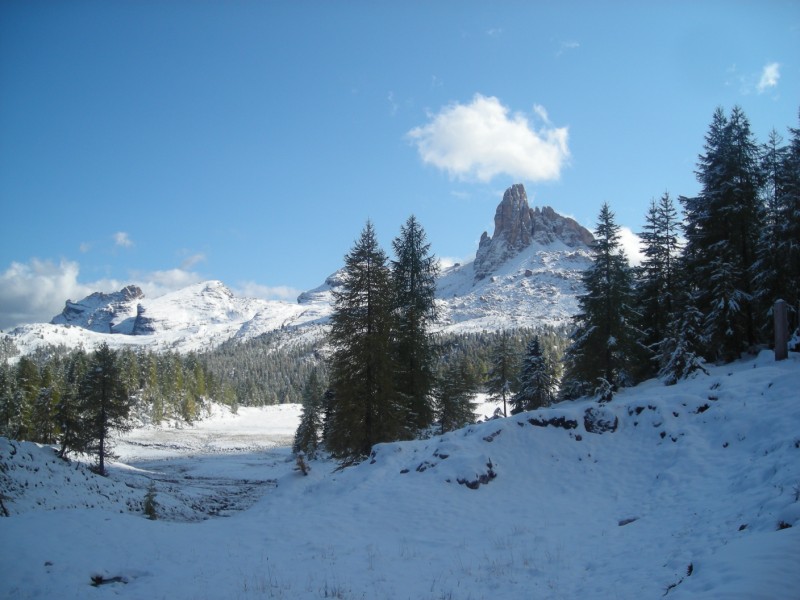 27450-dscn5276-800x600.jpg