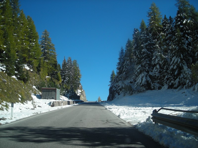 27480-dscn5564-800x600.jpg