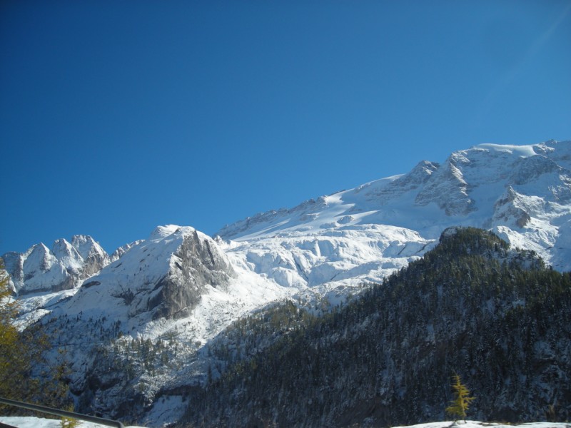 27481-dscn5565-800x600.jpg