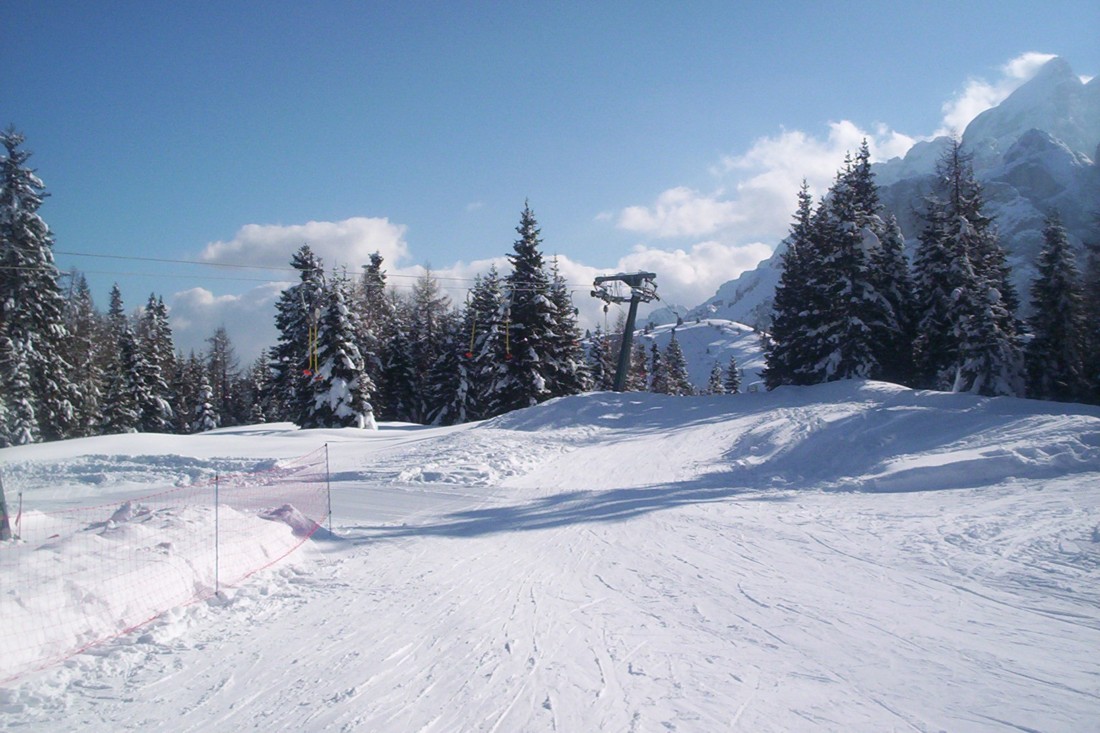 2767-1001187.jpg