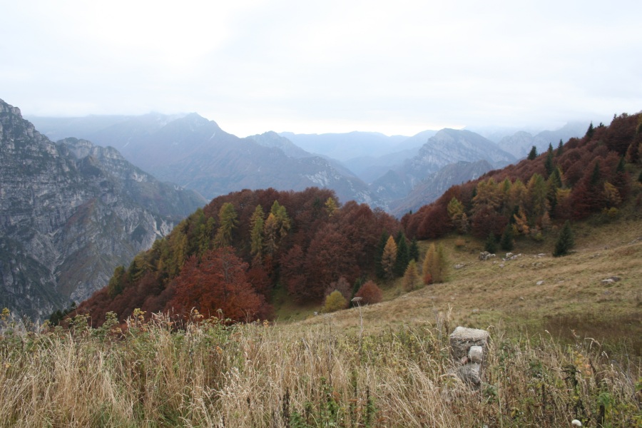 27778-img3481.jpg