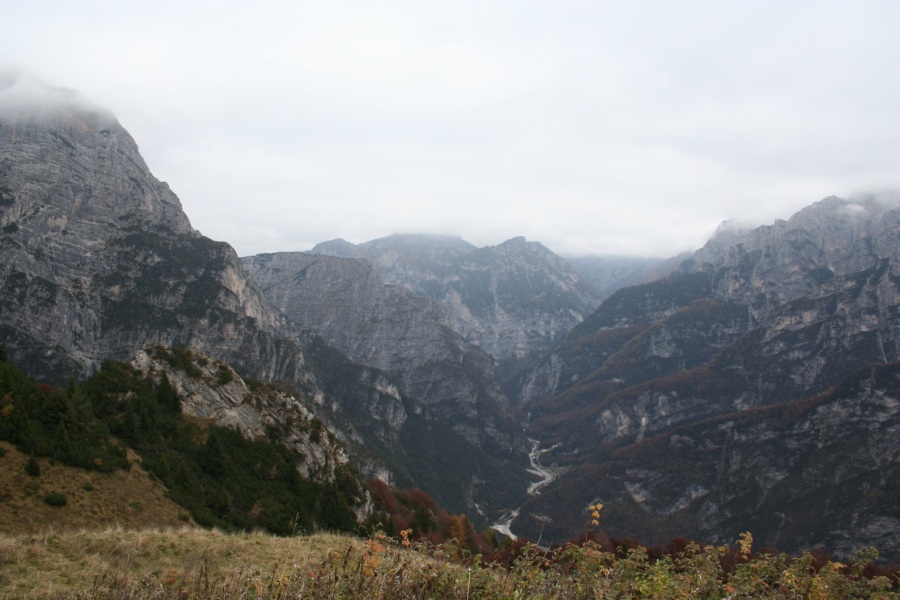 27779-img3482.jpg