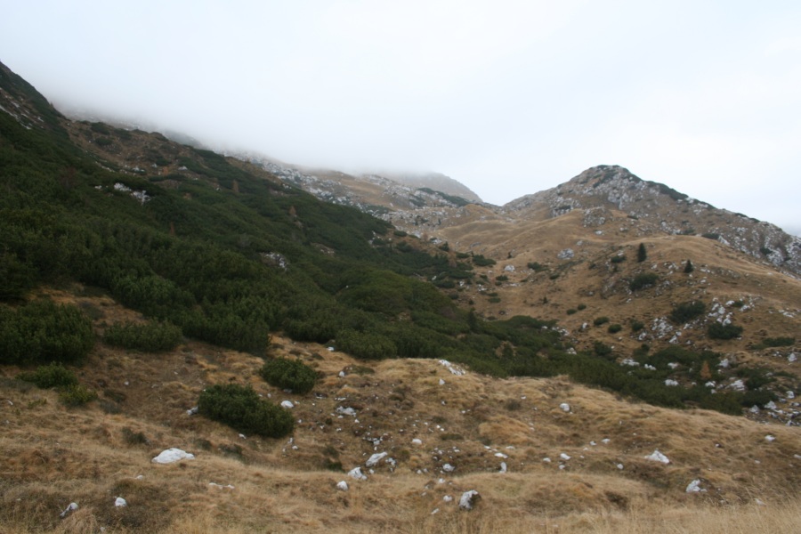 27783-img3494.jpg