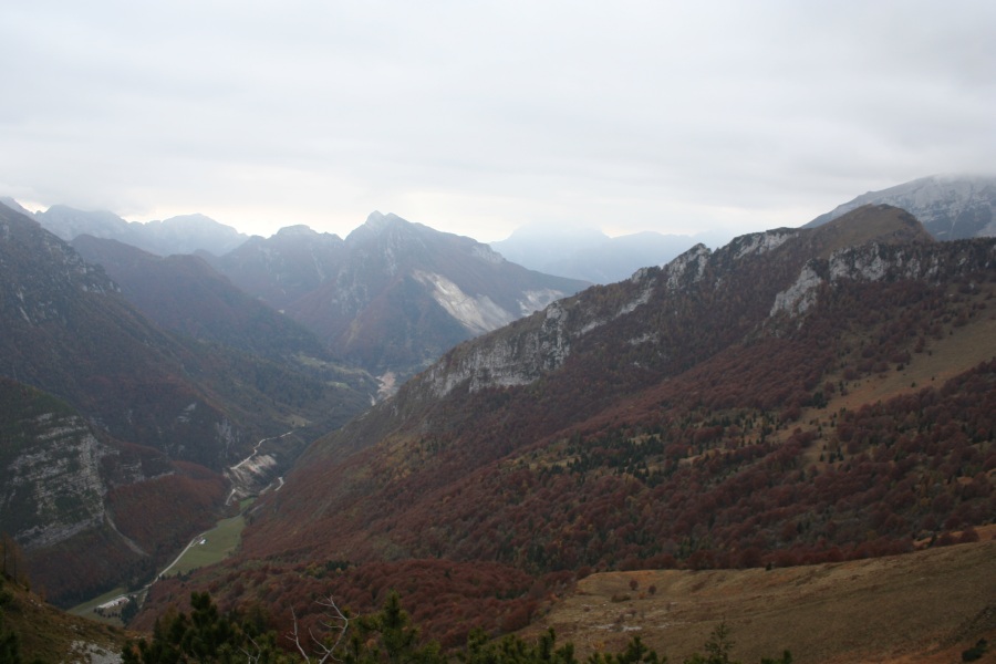27784-img3504.jpg