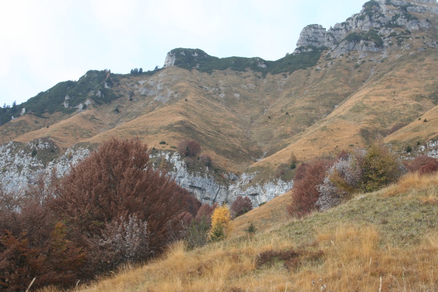 27786-img3516.jpg