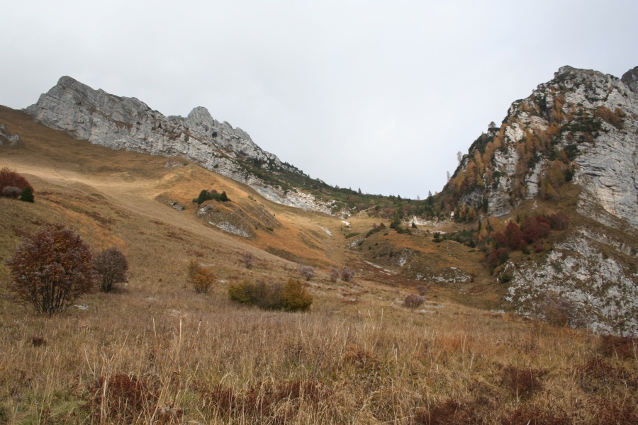 27787-img3517.jpg