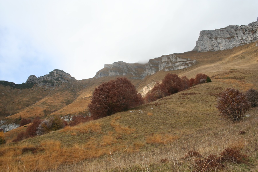27789-img3514.jpg