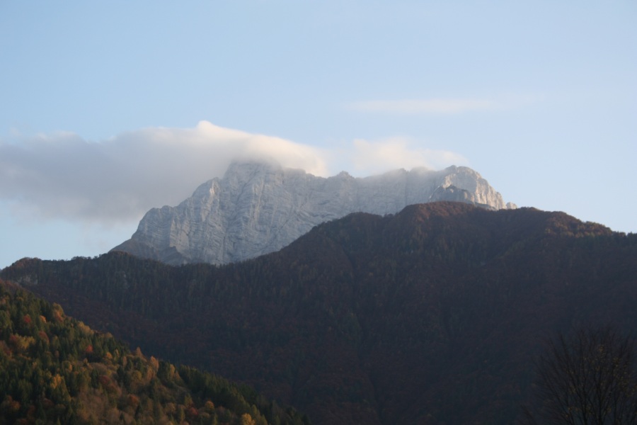 27790-img3531.jpg