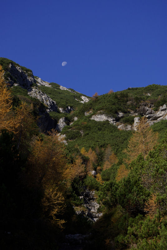 27985-luna1.jpg