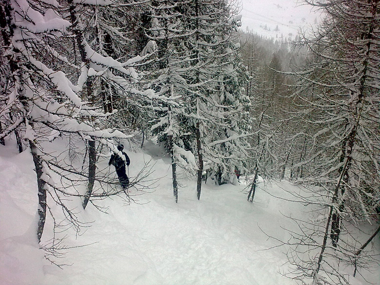29512-bosco.jpg