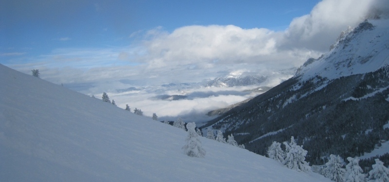 30614-img1371.jpg