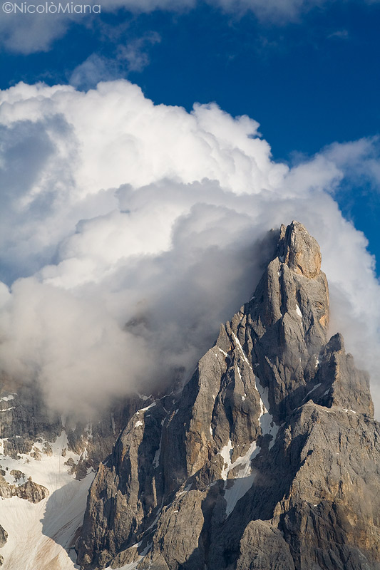 30998-cimonnne.jpg