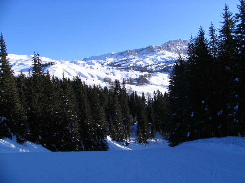 31131-copia-di-immagine-020.jpg