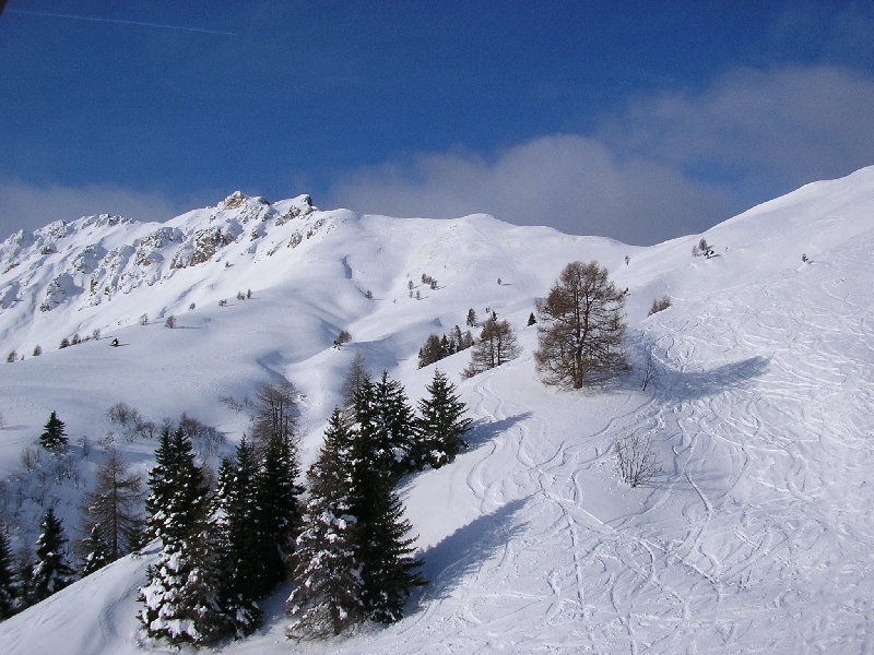 31241-immagine-011.jpg