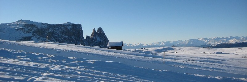 31424-img1127.jpg