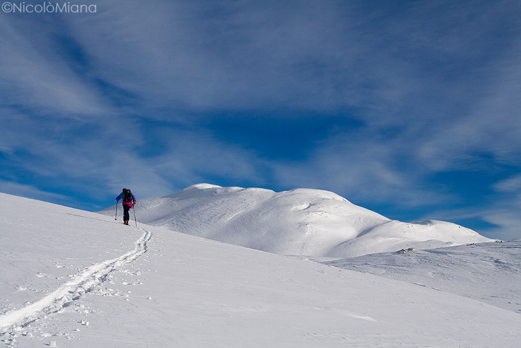 31541-altigamontpale-ski.jpg