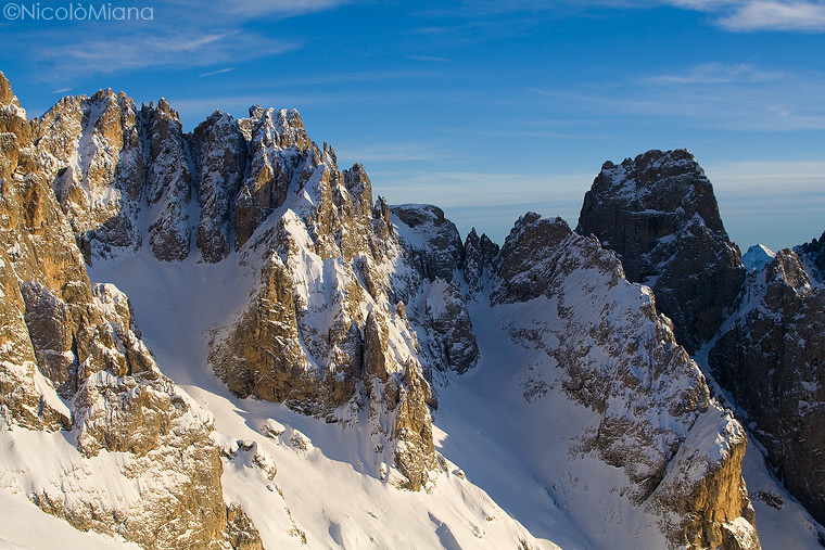 31543-guglie-garofalo.jpg