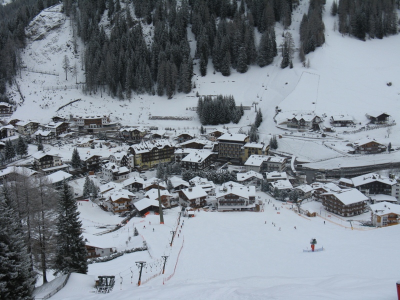 32617-copia-di-selva-dalla-saslong.jpg