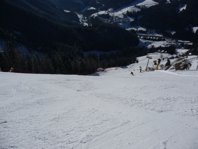 32776-p1000215.jpg