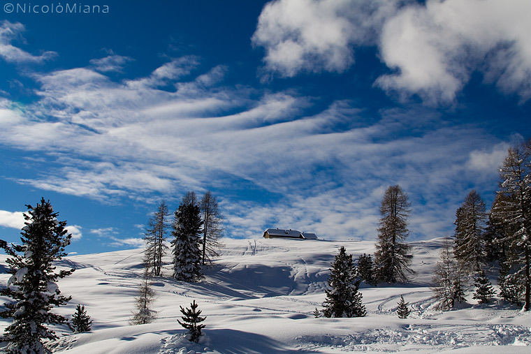 33249-malga.jpg