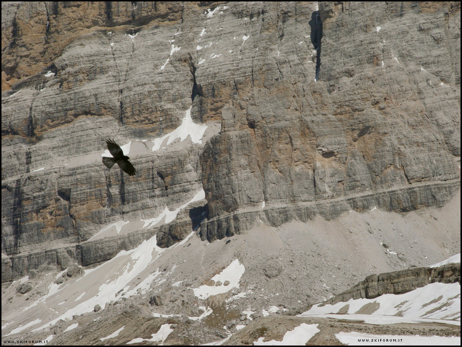 Foto Dolomiti
