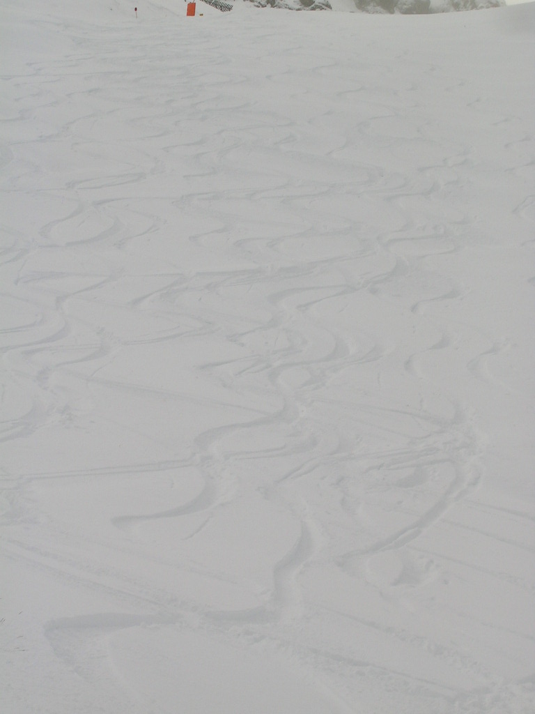 3545-dscn2580.jpg