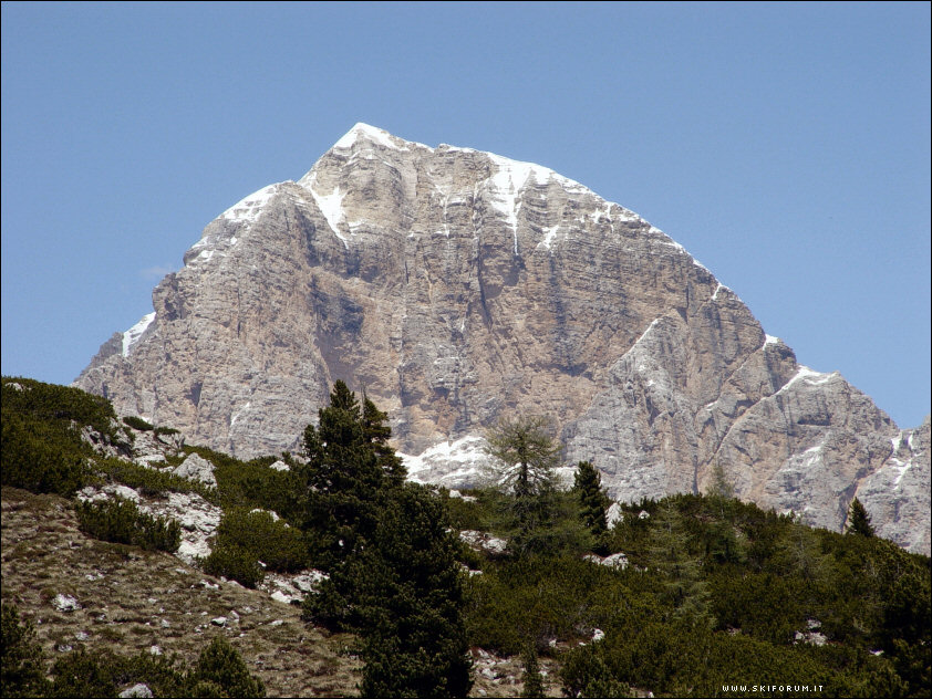 390-tofana.di.rozes.estiva.jpg