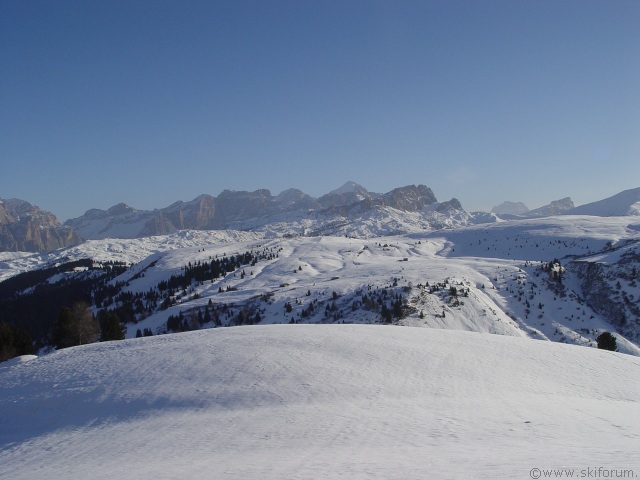 3905-dsc04601.jpg