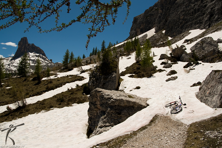 41957-mtb-verso-forc-ambrizola.jpg