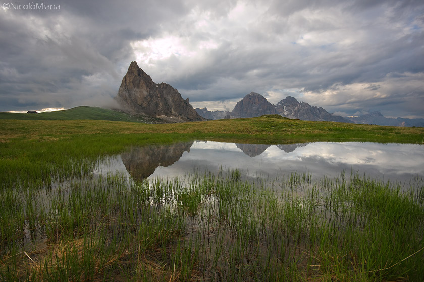 42220-pozzanghera.jpg