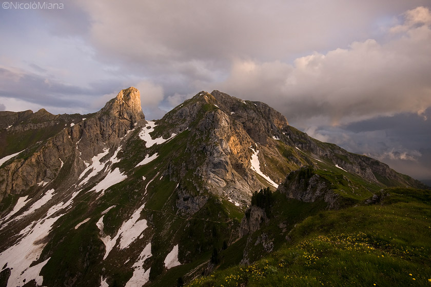42224-img8544.jpg