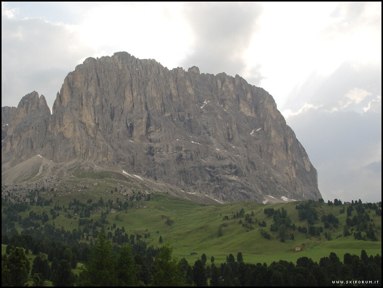432-estate-sassolungo.jpg