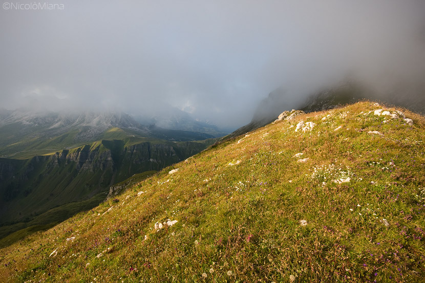 43342-img9241.jpg
