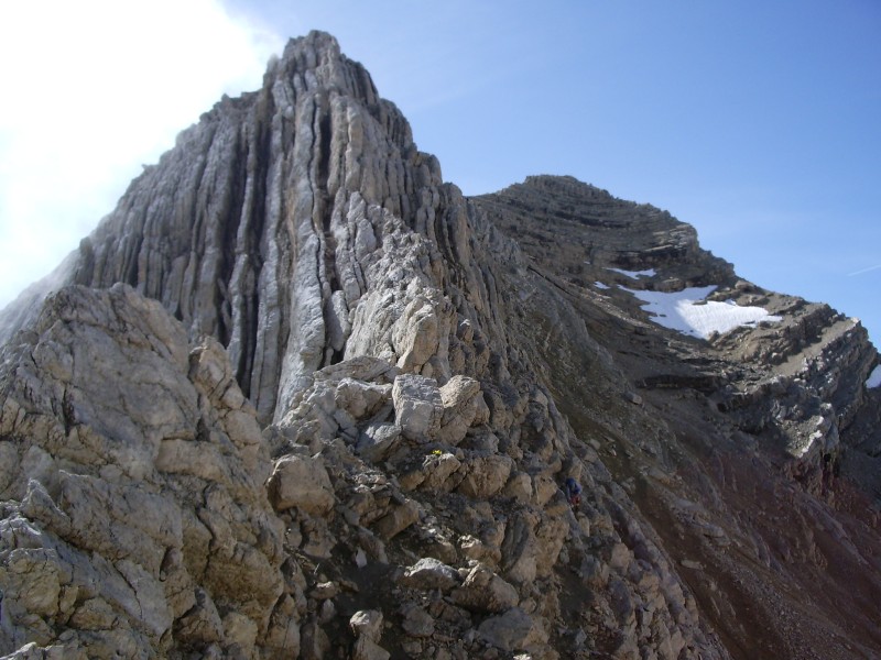 43517-imgp9154.jpg