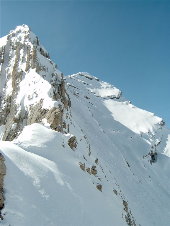 43571-tofana60.jpg