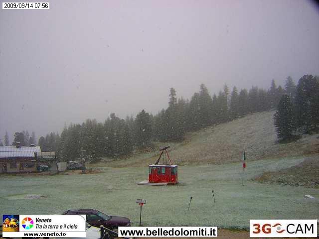 43737-colgallina.jpg
