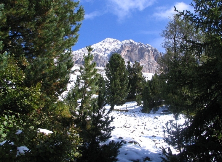 43926-copia-di-immagine-074.jpg