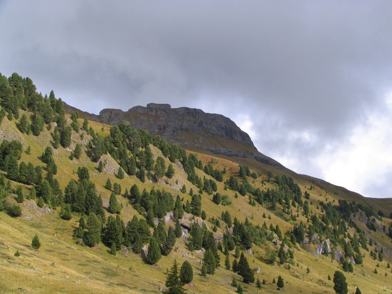 43935-copia-di-robbs-018.jpg