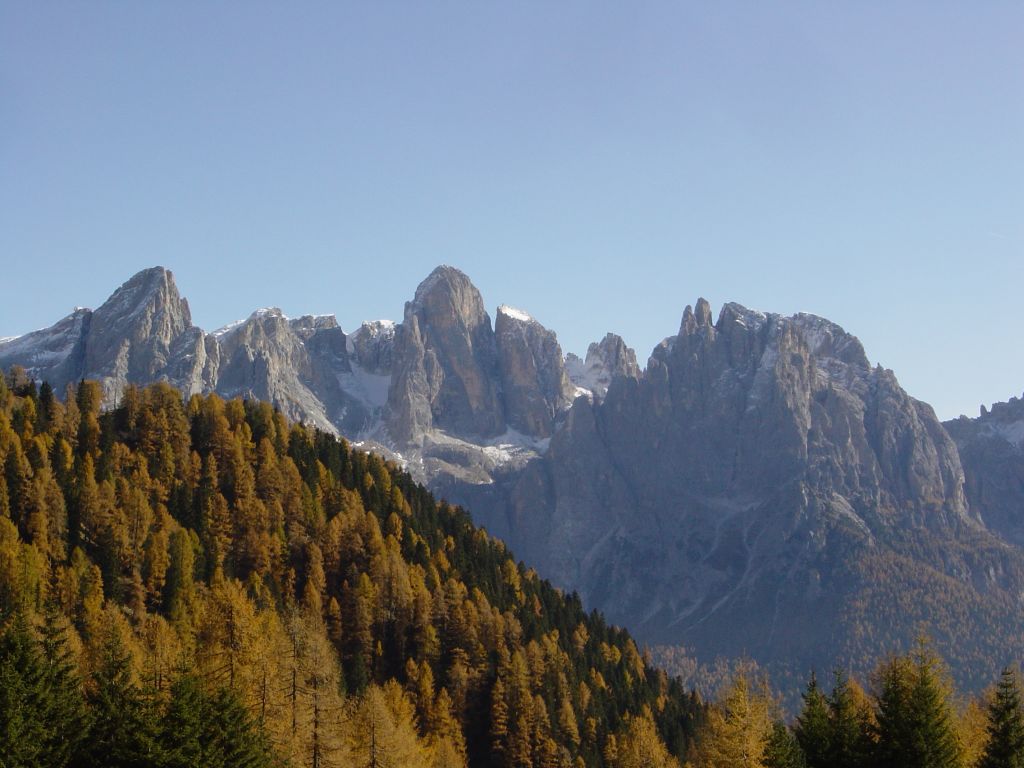 44753-pale1.jpg