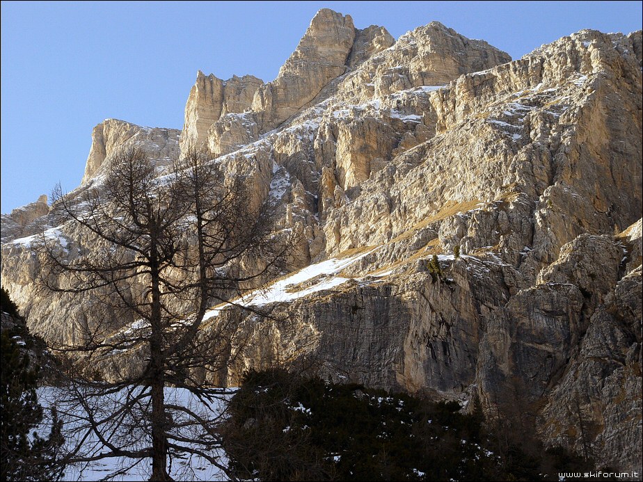 4546-foto-tofane.jpg