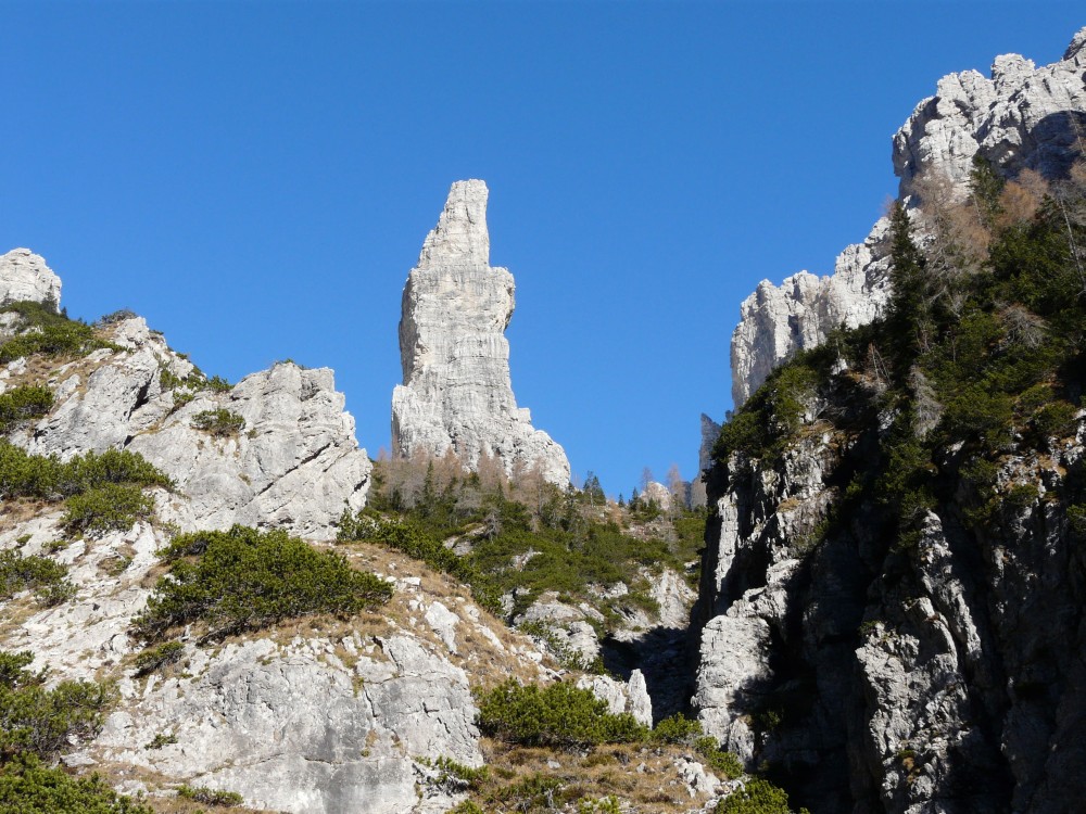 45461-p1060497.jpg