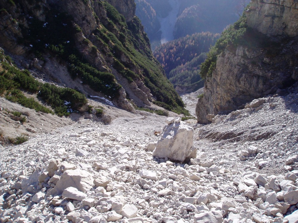 45464-p1010005.jpg