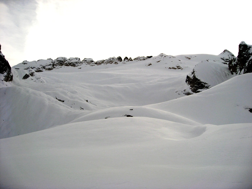46481-img3910.jpg
